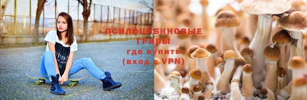 дурь Балабаново