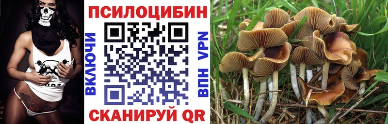 Псилоцибиновые грибы Psilocybine cubensis  Озёрск 